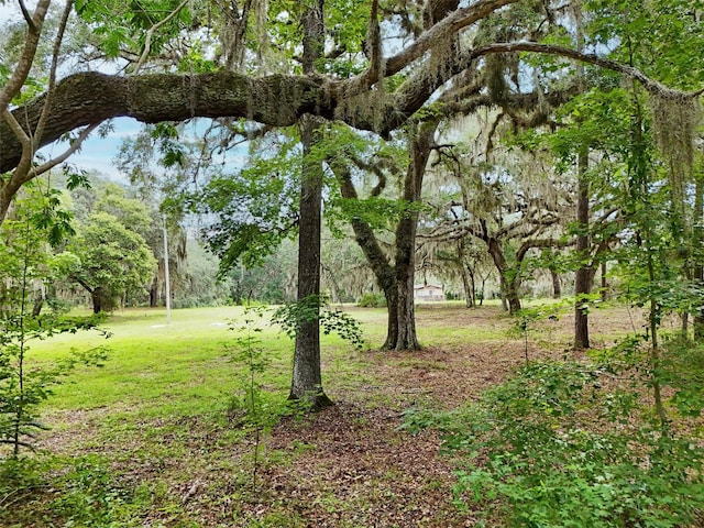 202 Bostwick Cemetery Rd Unit 1, Palatka, FL 32177