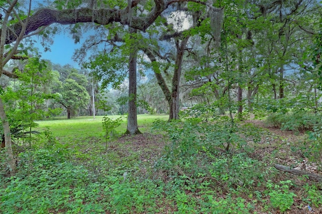 202 Bostwick Cemetery Rd Unit 1, Palatka, FL 32177