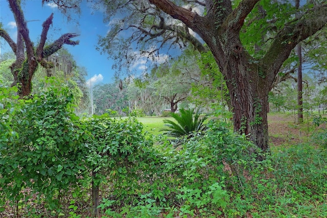 202 Bostwick Cemetery Rd Unit 1, Palatka, FL 32177