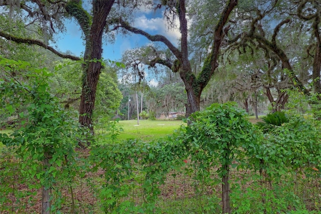 202 Bostwick Cemetery Rd Unit 1, Palatka, FL 32177