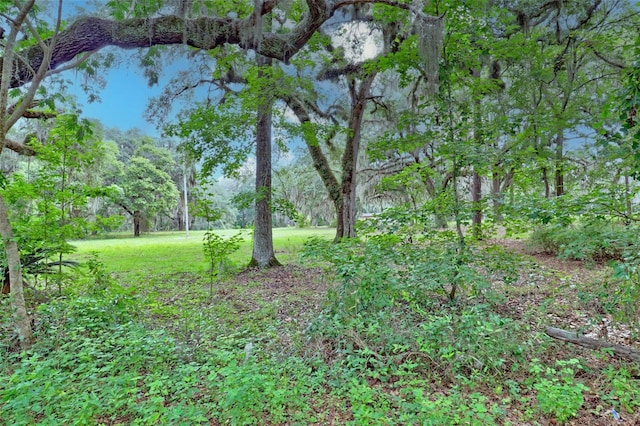 202 Bostwick Cemetery Rd Unit 1, Palatka, FL 32177