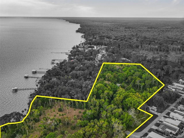 1675 Perch Ln, Seville, FL 32190 - photo 4