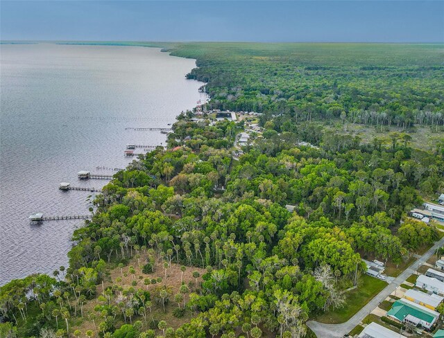 1675 Perch Ln, Seville, FL 32190 - photo 5