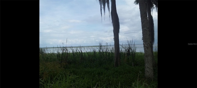 1675 Perch Ln, Seville, FL 32190 - photo 17