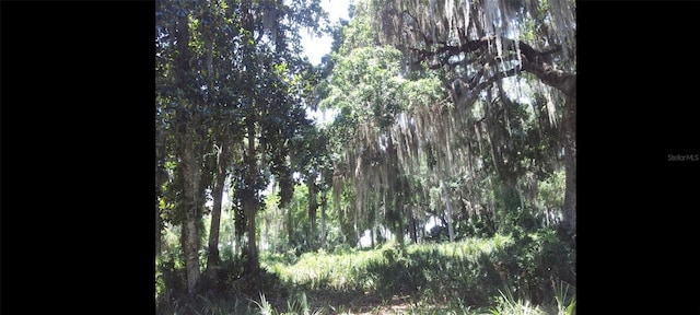 1675 Perch Ln, Seville, FL 32190 - photo 18