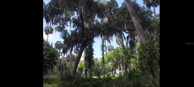 1675 Perch Ln, Seville, FL 32190 - photo 19