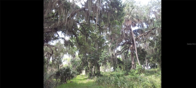 1675 Perch Ln, Seville, FL 32190 - photo 20
