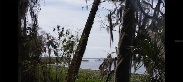 1675 Perch Ln, Seville, FL 32190 - photo 22