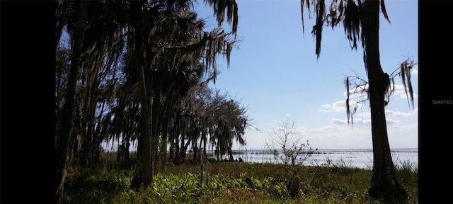 1675 Perch Ln, Seville, FL 32190 - photo 25
