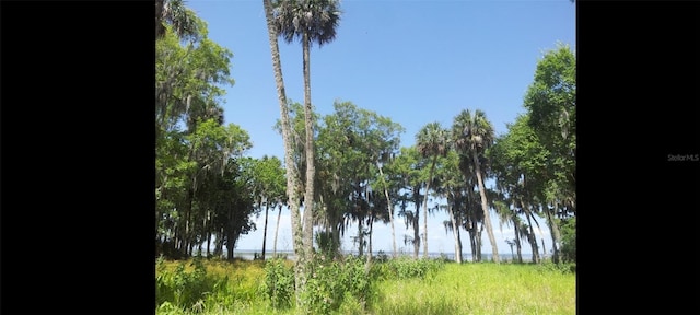 1675 Perch Ln, Seville, FL 32190 - photo 26