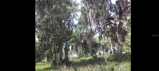 1675 Perch Ln, Seville, FL 32190 - photo 27