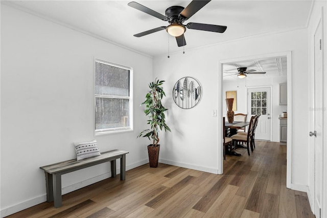 54221 Cravey Rd, Callahan, FL 32011 - hall featuring wood finished floors and baseboards