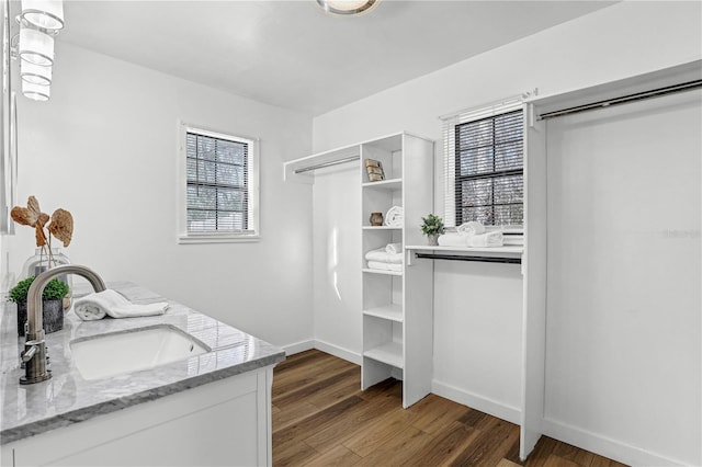 54221 Cravey Rd, Callahan, FL 32011 - spacious closet with a sink and wood finished floors