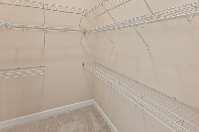 15 Long Pl, Palm Coast, FL 32137 - walk in closet with light colored carpet