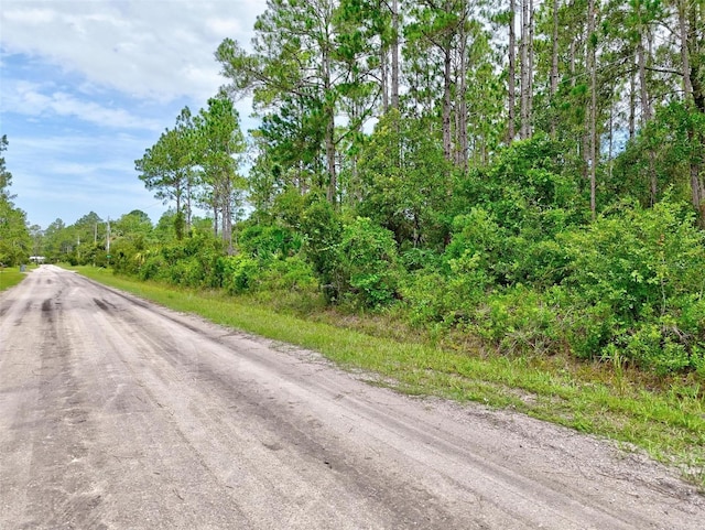4168 Fruitwood Ave, Bunnell, FL 32110 - photo 1