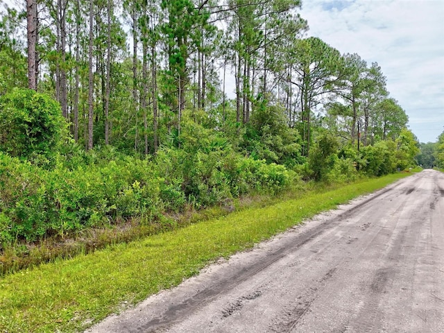 4168 Fruitwood Ave, Bunnell, FL 32110 - photo 2