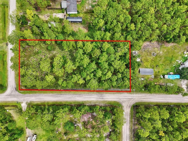 4168 Fruitwood Ave, Bunnell, FL 32110 - photo 3