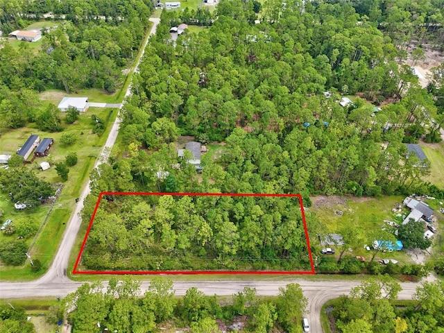 4168 Fruitwood Ave, Bunnell, FL 32110 - photo 4