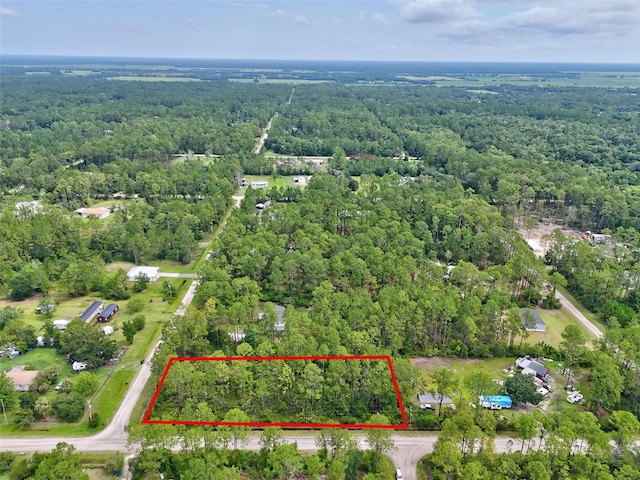 4168 Fruitwood Ave, Bunnell, FL 32110 - photo 5
