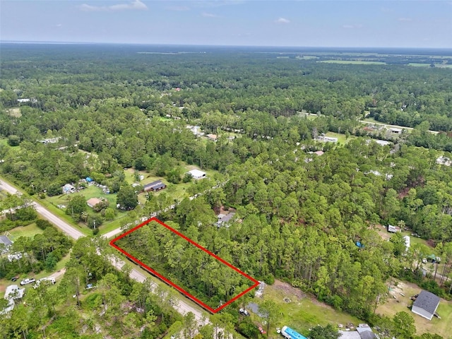 4168 Fruitwood Ave, Bunnell, FL 32110 - photo 6