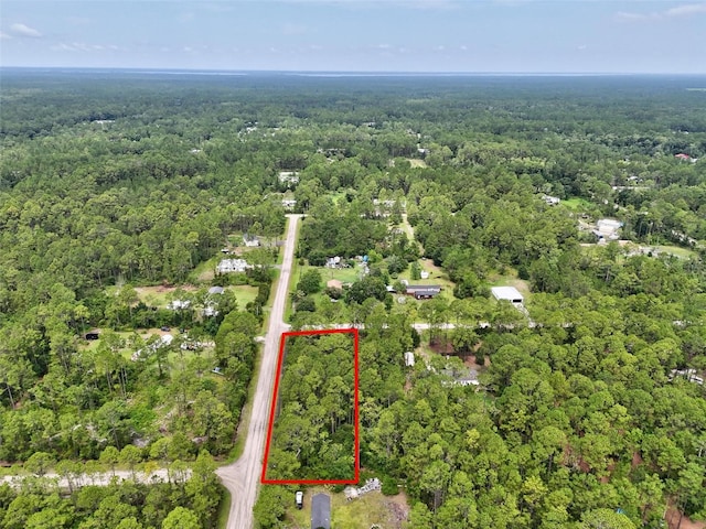 4168 Fruitwood Ave, Bunnell, FL 32110 - photo 7