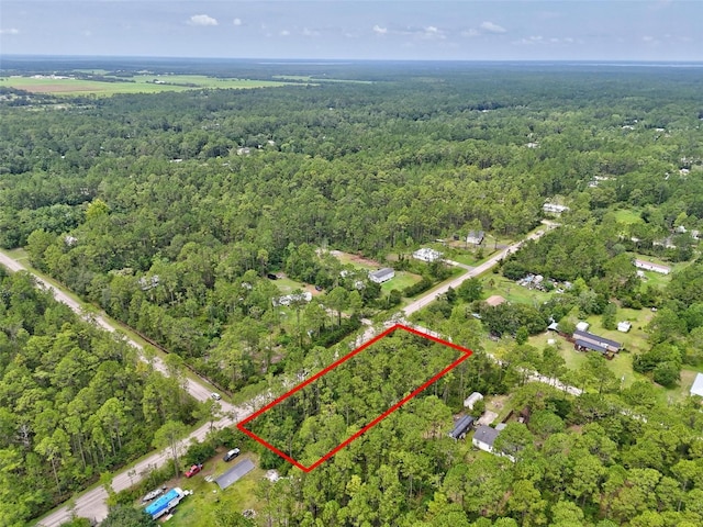 4168 Fruitwood Ave, Bunnell, FL 32110 - photo 8