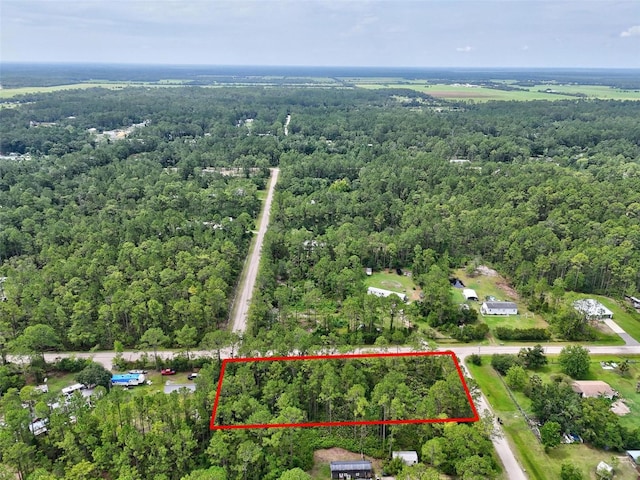 4168 Fruitwood Ave, Bunnell, FL 32110 - photo 9