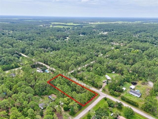 4168 Fruitwood Ave, Bunnell, FL 32110 - photo 10