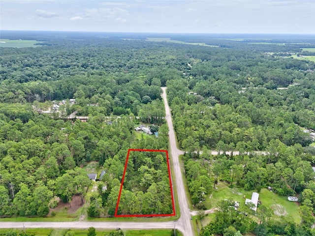 4168 Fruitwood Ave, Bunnell, FL 32110 - photo 11