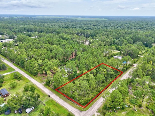 4168 Fruitwood Ave, Bunnell, FL 32110 - photo 13