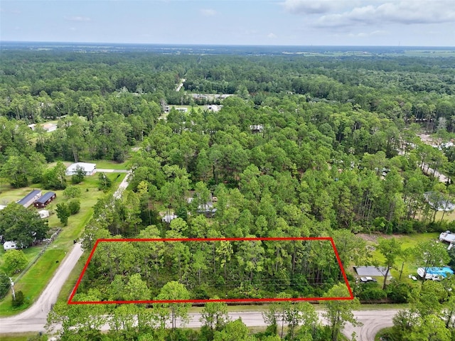 4168 Fruitwood Ave, Bunnell, FL 32110 - photo 14