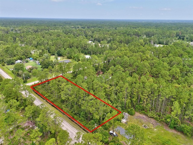 4168 Fruitwood Ave, Bunnell, FL 32110 - photo 15