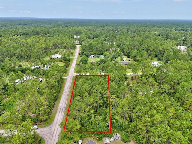 4168 Fruitwood Ave, Bunnell, FL 32110 - photo 16