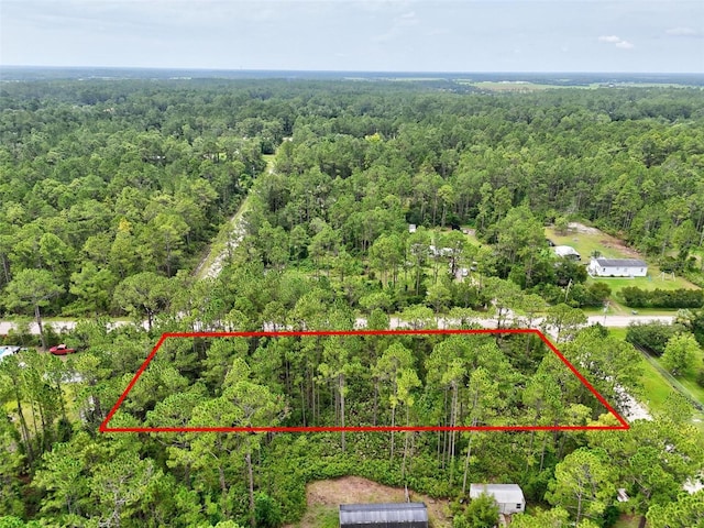 4168 Fruitwood Ave, Bunnell, FL 32110 - photo 17