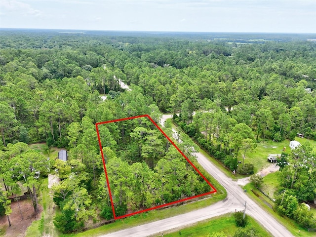 4168 Fruitwood Ave, Bunnell, FL 32110 - photo 18