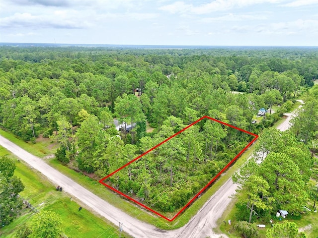 4168 Fruitwood Ave, Bunnell, FL 32110 - photo 19