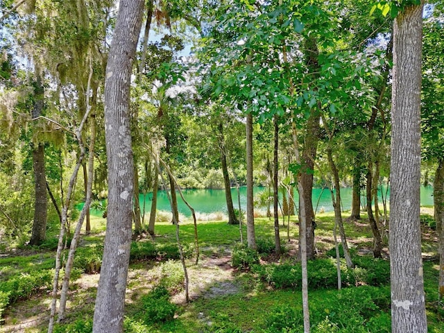 23 Creekside Dr, Palm Coast, FL 32137 - water view