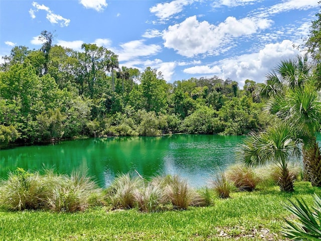 23 Creekside Dr, Palm Coast, FL 32137 - water view featuring a forest