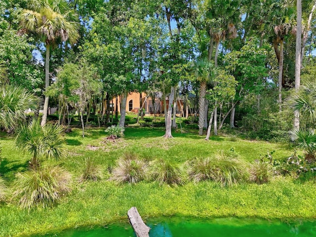 23 Creekside Dr, Palm Coast, FL 32137 - view of yard