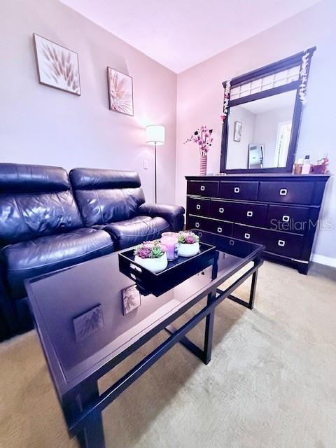 4 Stone Quarry Trl, Ormond Beach, FL 32174 - photo 34