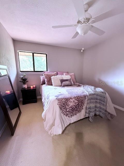 4 Stone Quarry Trl, Ormond Beach, FL 32174 - photo 41