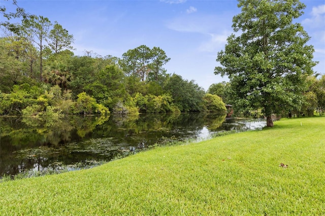 16 Birchwood Pl, Palm Coast, FL 32137 - view of grassy yard with a water view and a view of trees