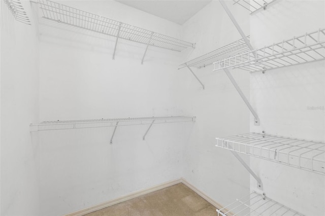 16 Birchwood Pl, Palm Coast, FL 32137 - spacious closet featuring light carpet