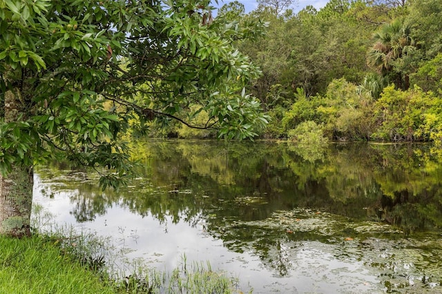 16 Birchwood Pl, Palm Coast, FL 32137 - water view featuring a heavily wooded area