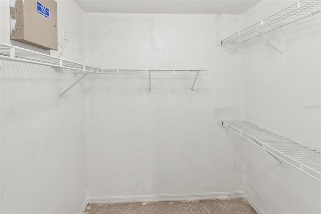 2790 Pelham Cir, Deltona, FL 32738 - walk in closet featuring light colored carpet