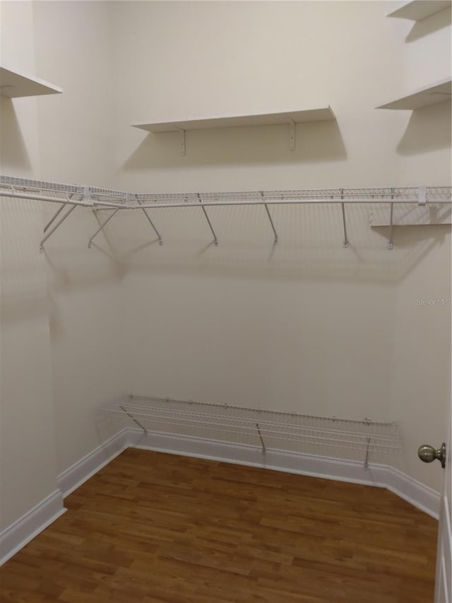 28 Front St, Palm Coast, FL 32137 - walk in closet with wood finished floors