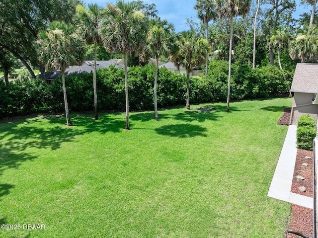 3959 S Chinook Ln, Ormond Beach, FL 32174 - view of green lawn