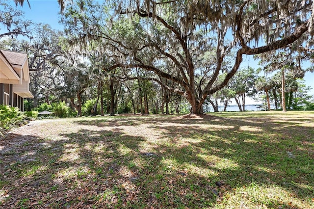 133 Federal Point Rd, East Palatka, FL 32131 - photo 48
