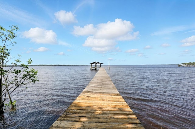 133 Federal Point Rd, East Palatka, FL 32131 - photo 51
