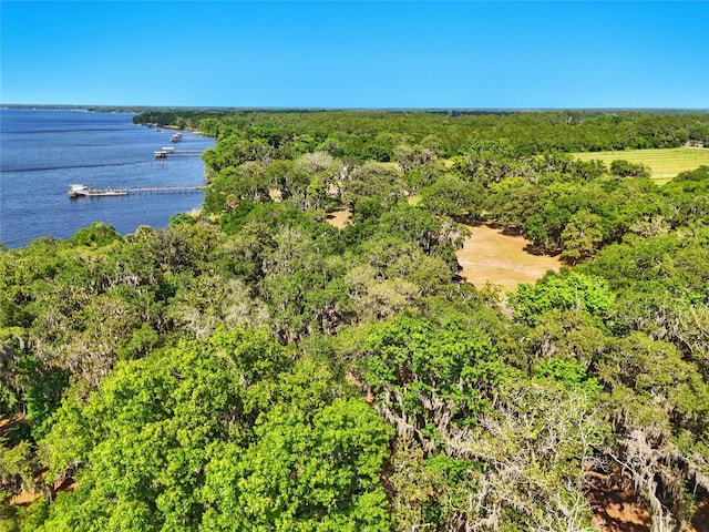 133 Federal Point Rd, East Palatka, FL 32131 - photo 61